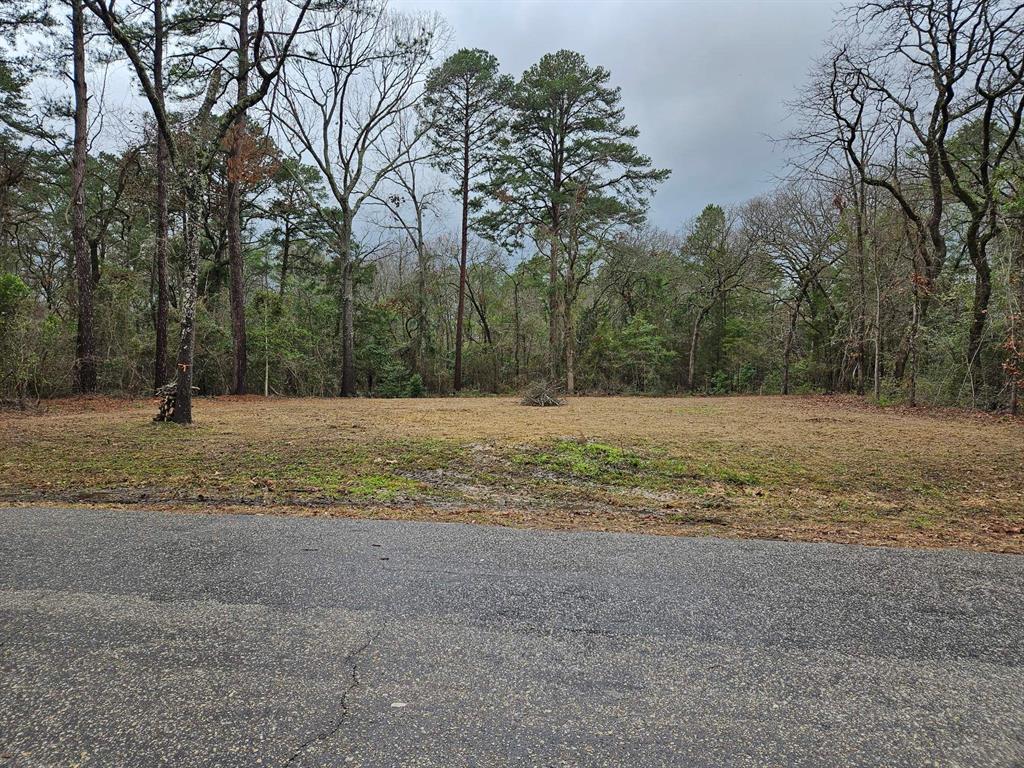 a view of a field with trees