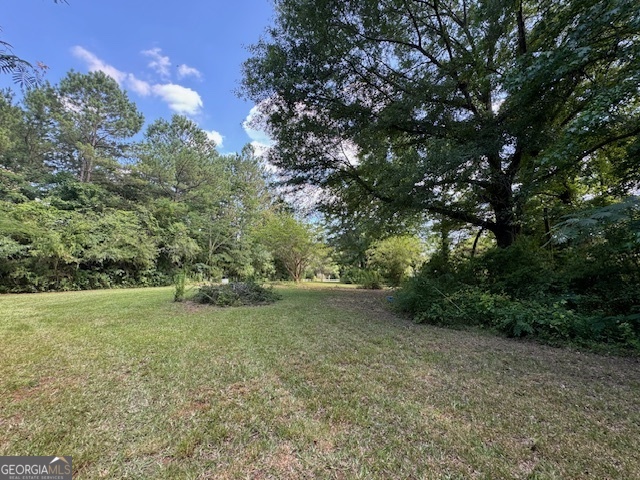 a view of a big yard with a tree