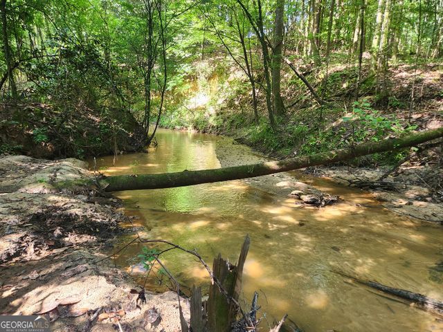 $4,150,000 | 0 West Coleman Road | Fort Gaines