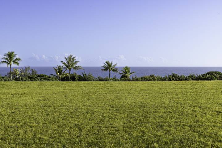 a view of an outdoor space and a lake view