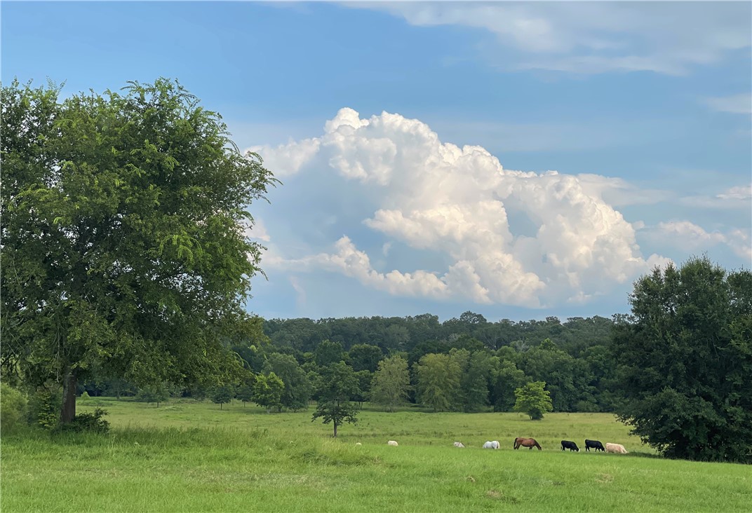 View from elevated homesite S. overlooking bottom