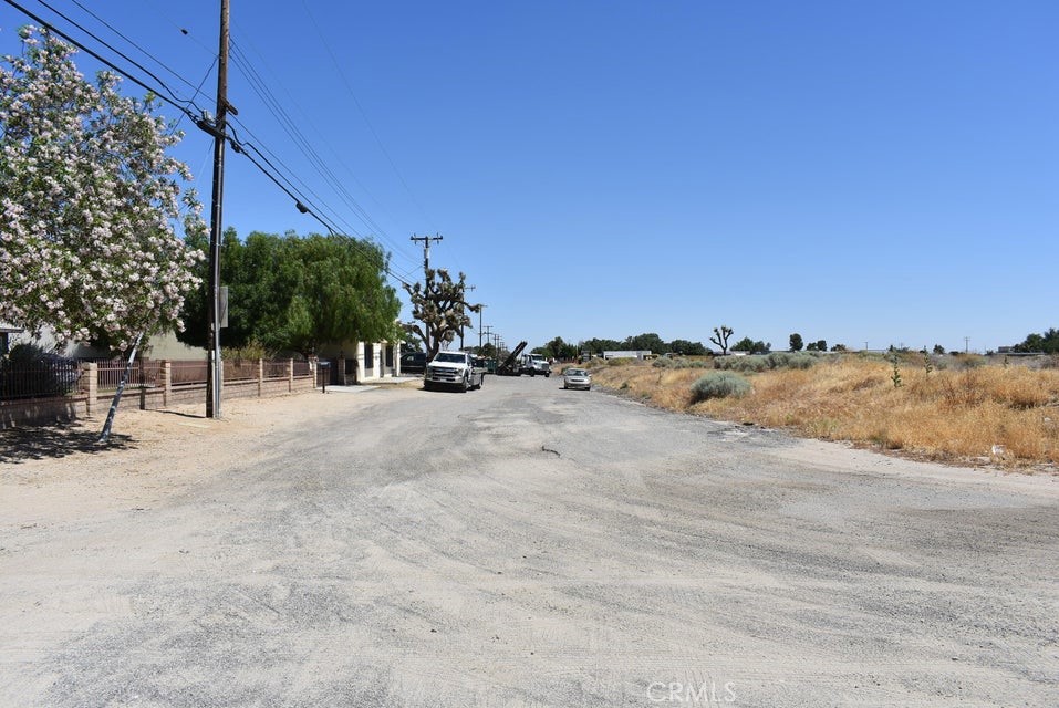 a view of road with large trees