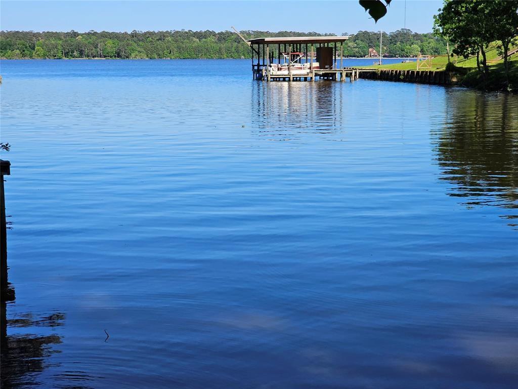 a view of an ocean with boats and trees in the background