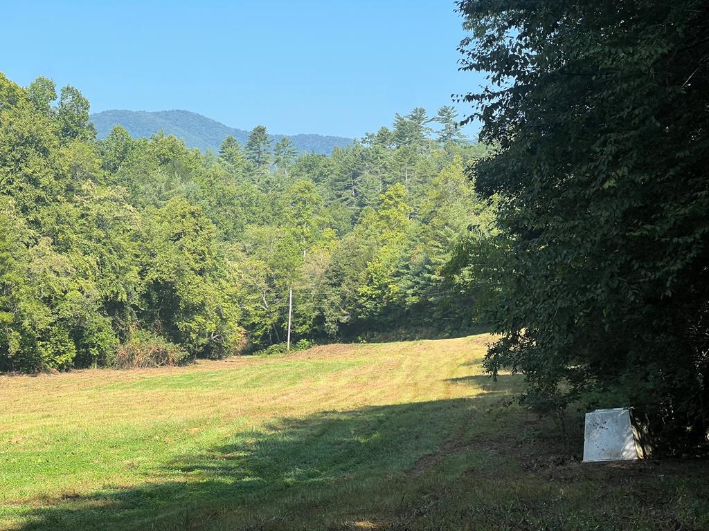 a view of a field with an ocean view