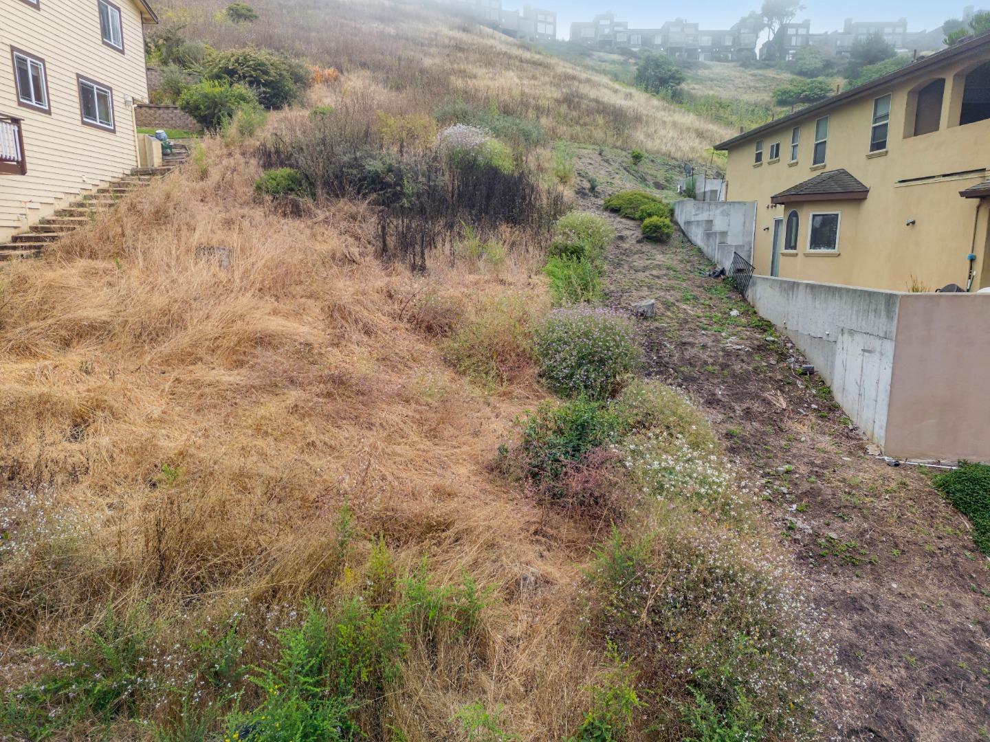 a view of a yard with a house