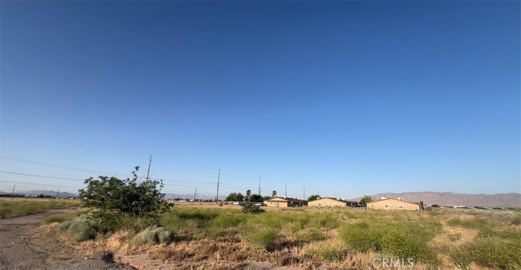 a view of a bunch of trees and houses