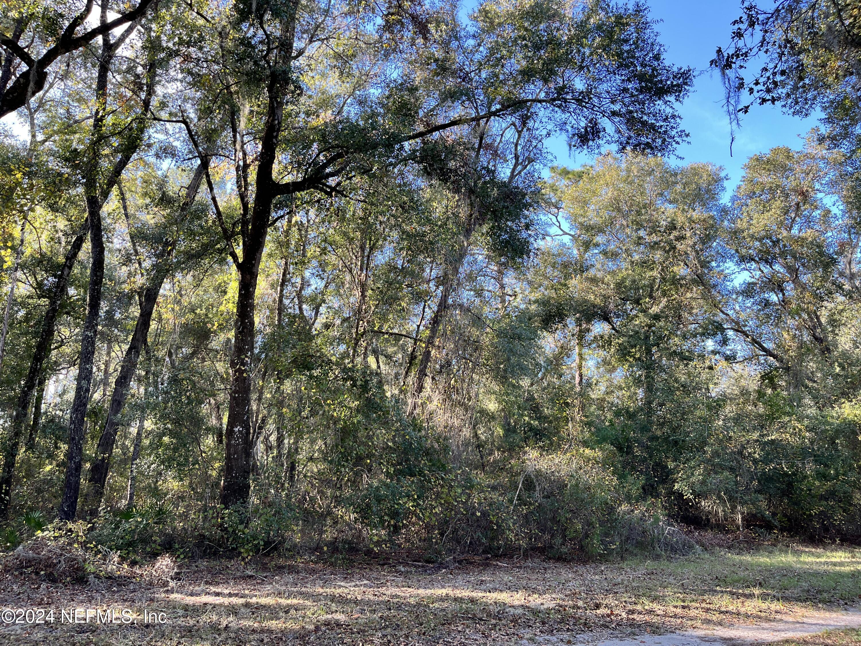 a view of a yard with a tree