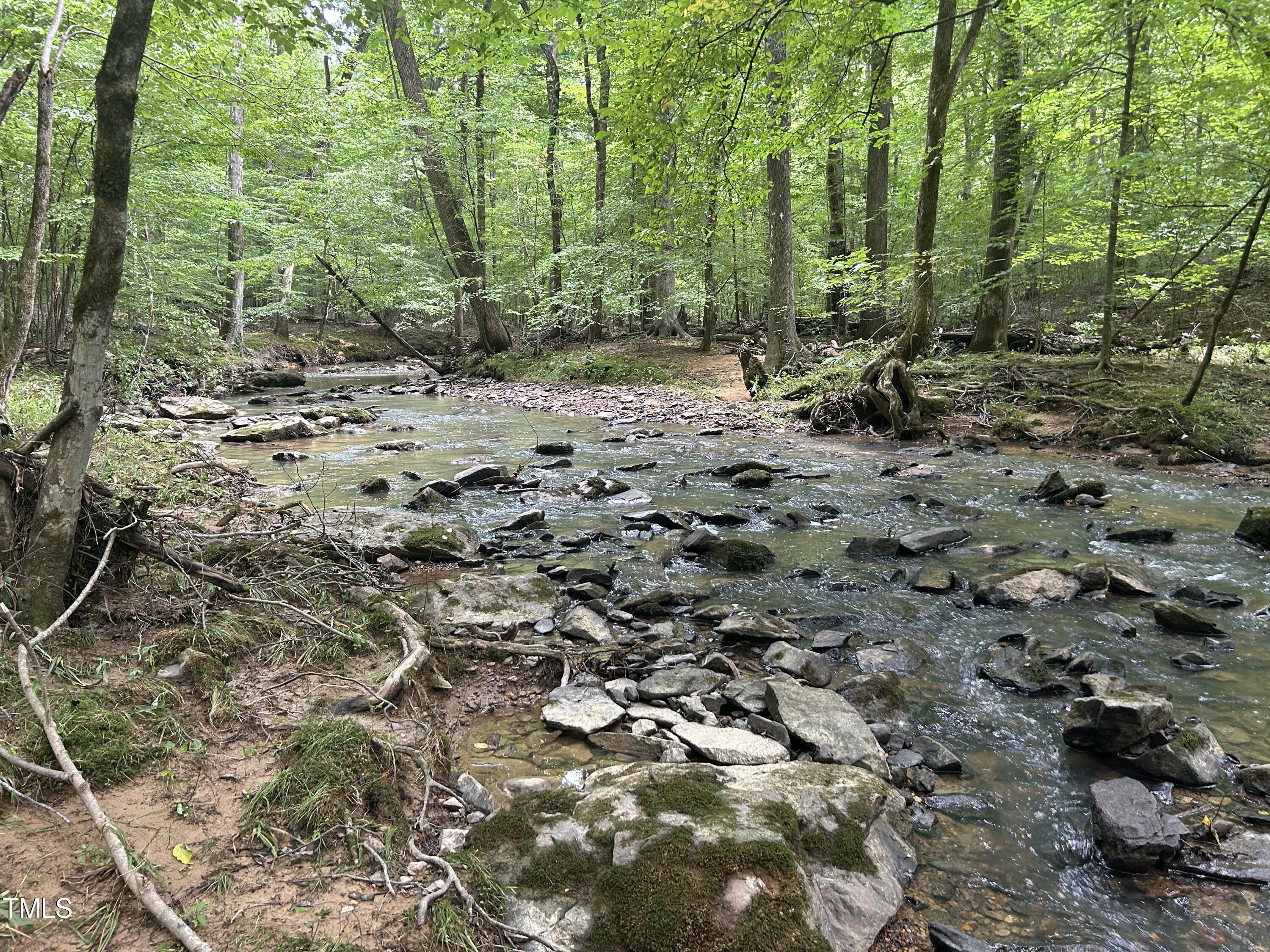 a view of a forest with trees