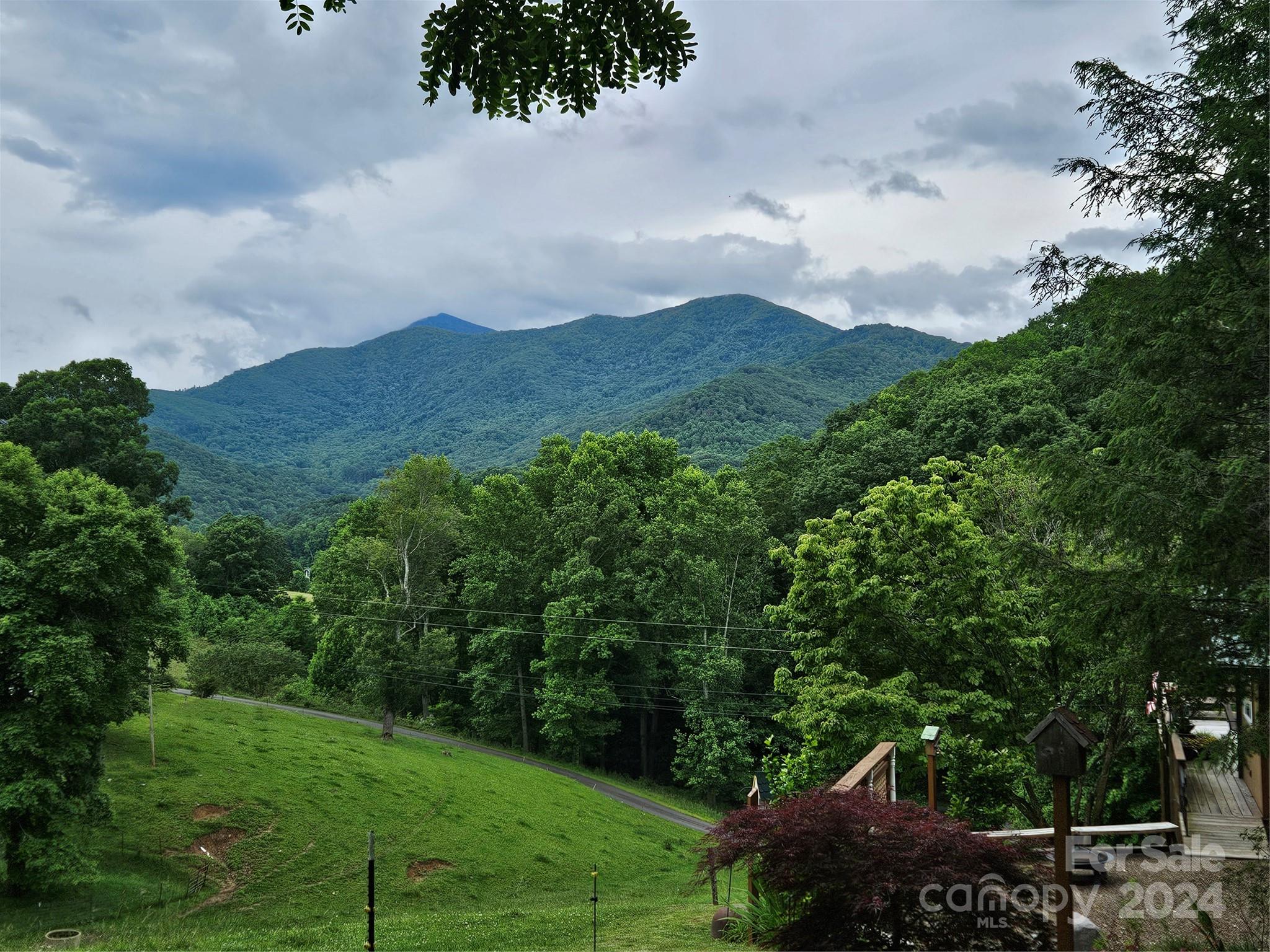 a view of a mountain in the distance in a field