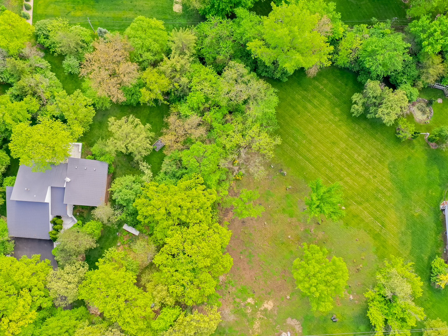 a backyard of a house with lots of green space and garden