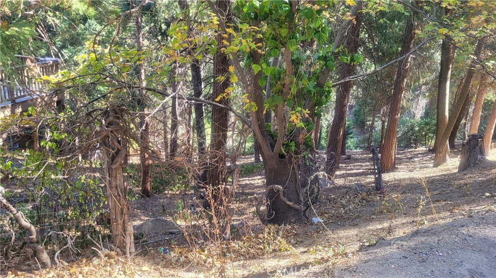 a backyard of a house with large trees and a wooden fence