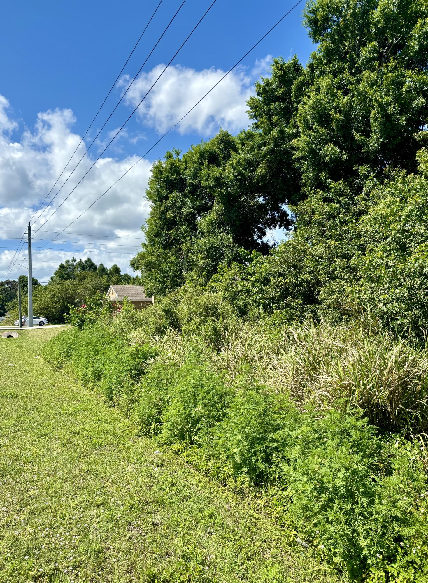 a view of a garden