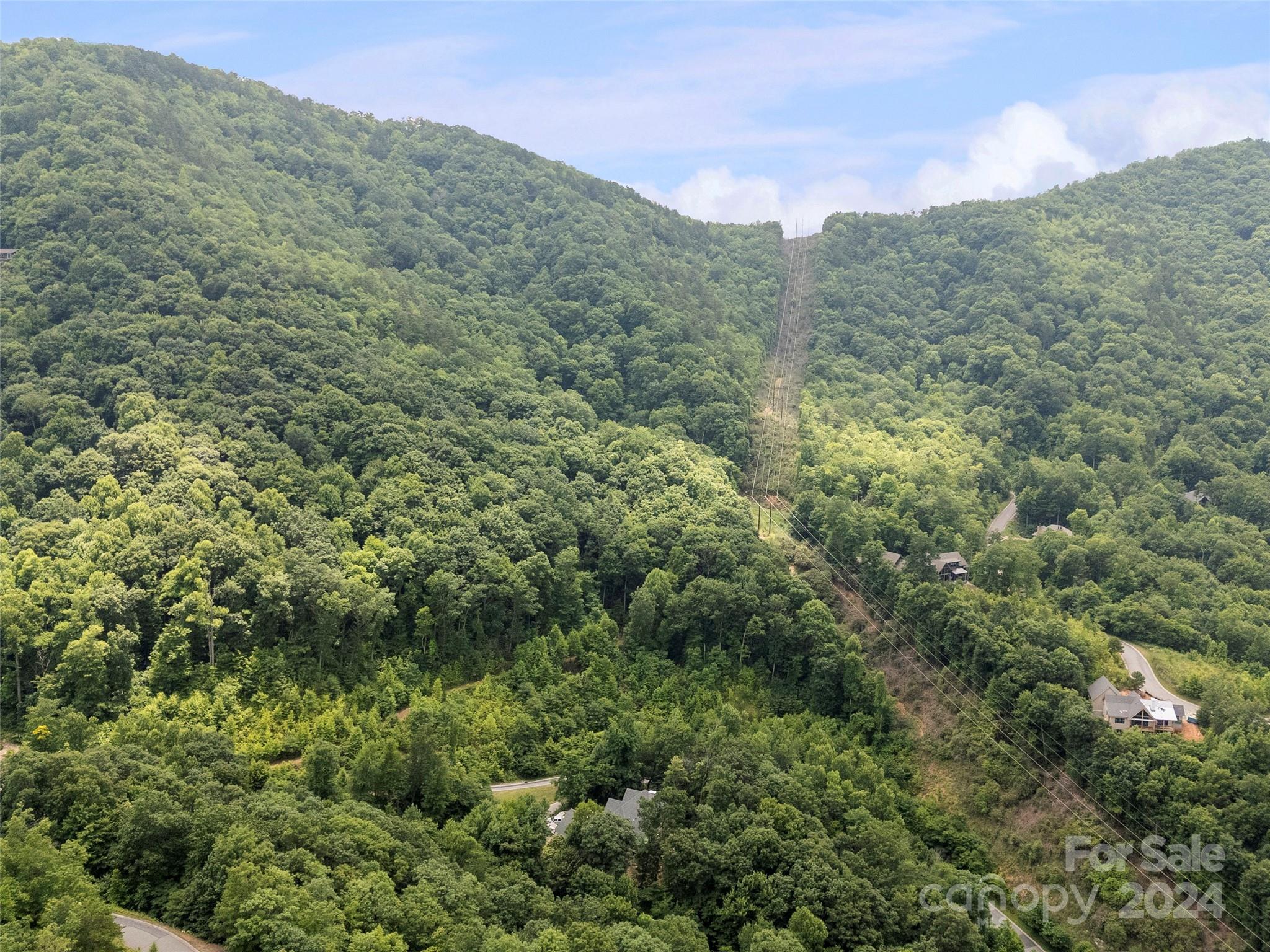 a view of a lush green forest with mountains in the background