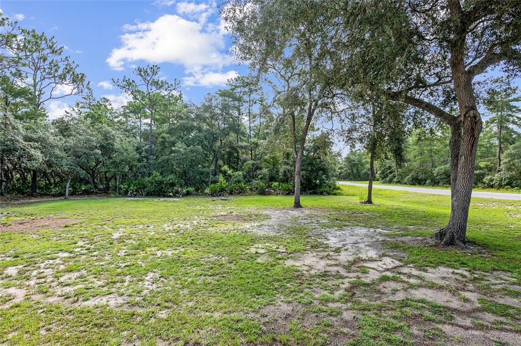 a view of a yard with a tree