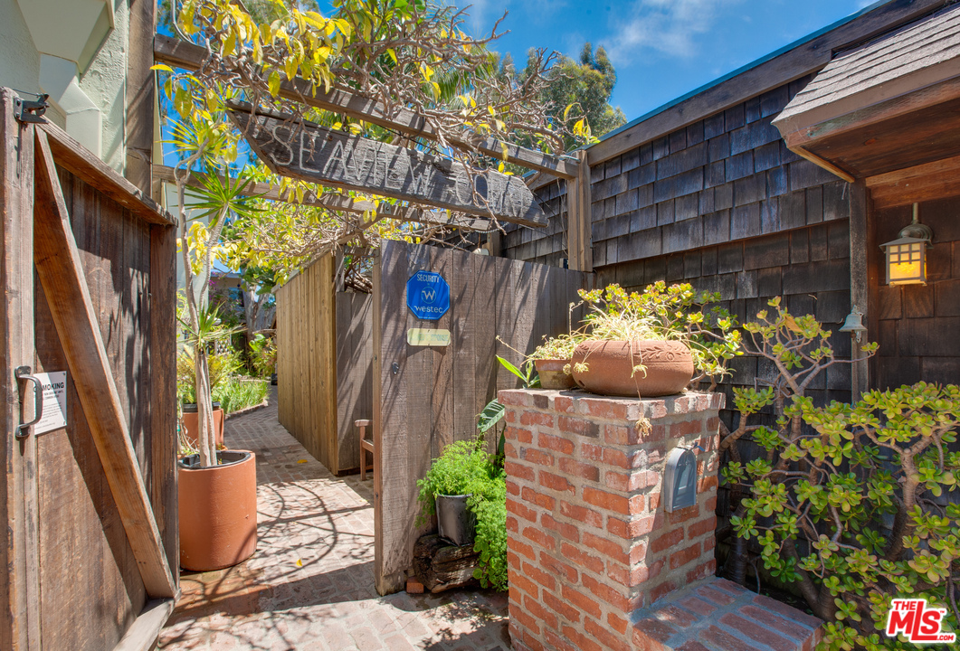 a view of a potted plant in front of a building