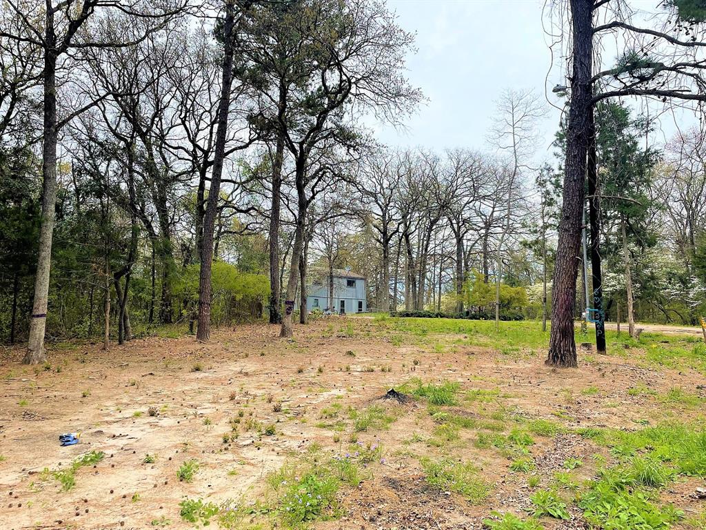 a view of road with trees