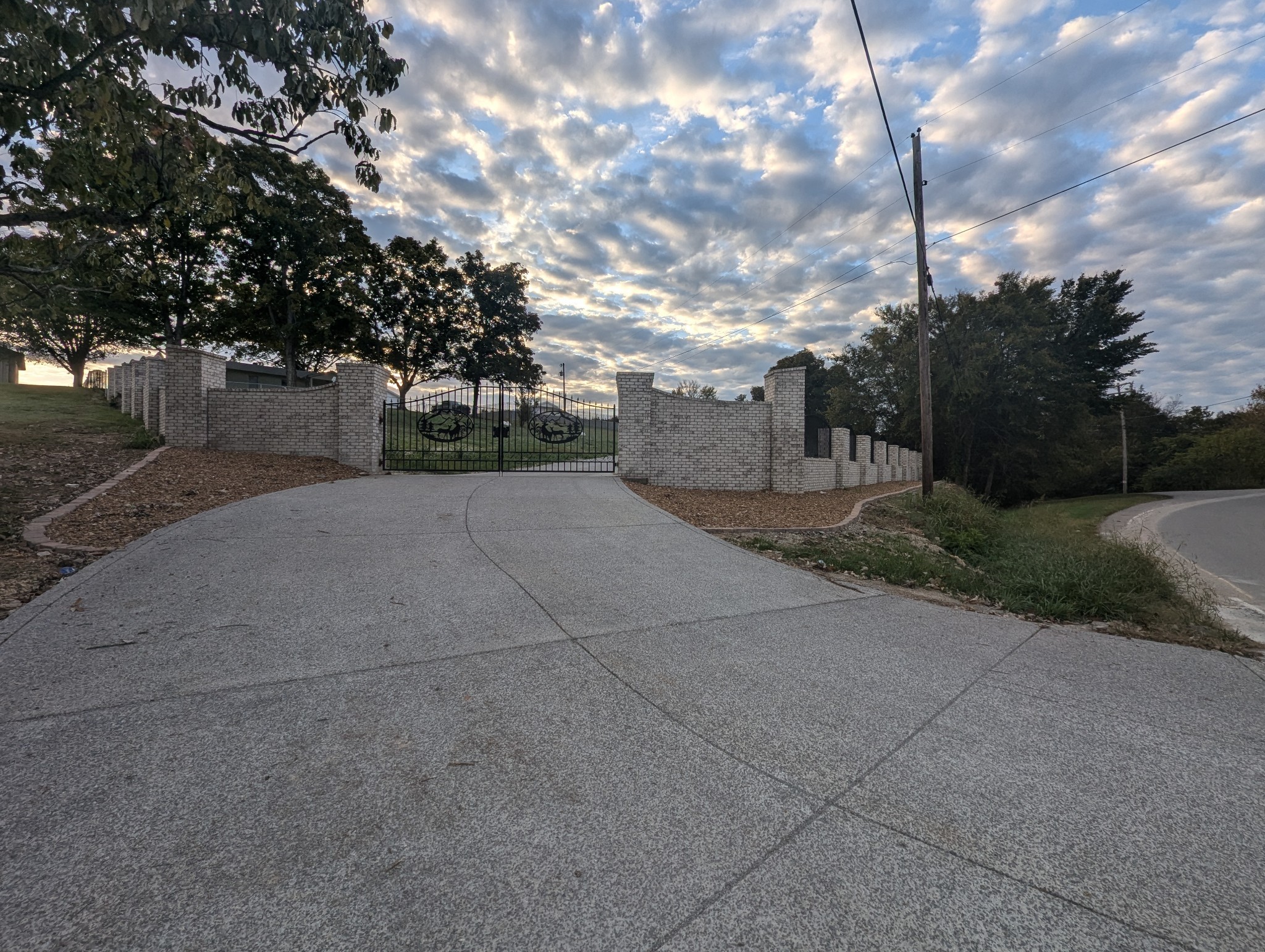 a view of a back yard of the house