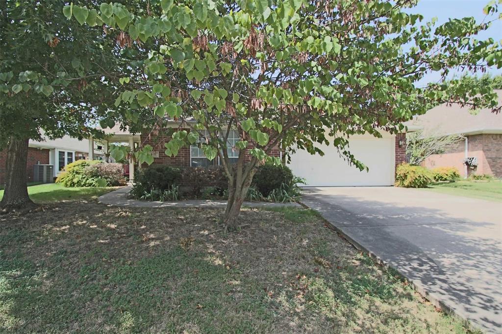 a view of a yard with a tree