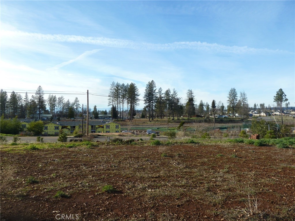 a view of a field with trees in background