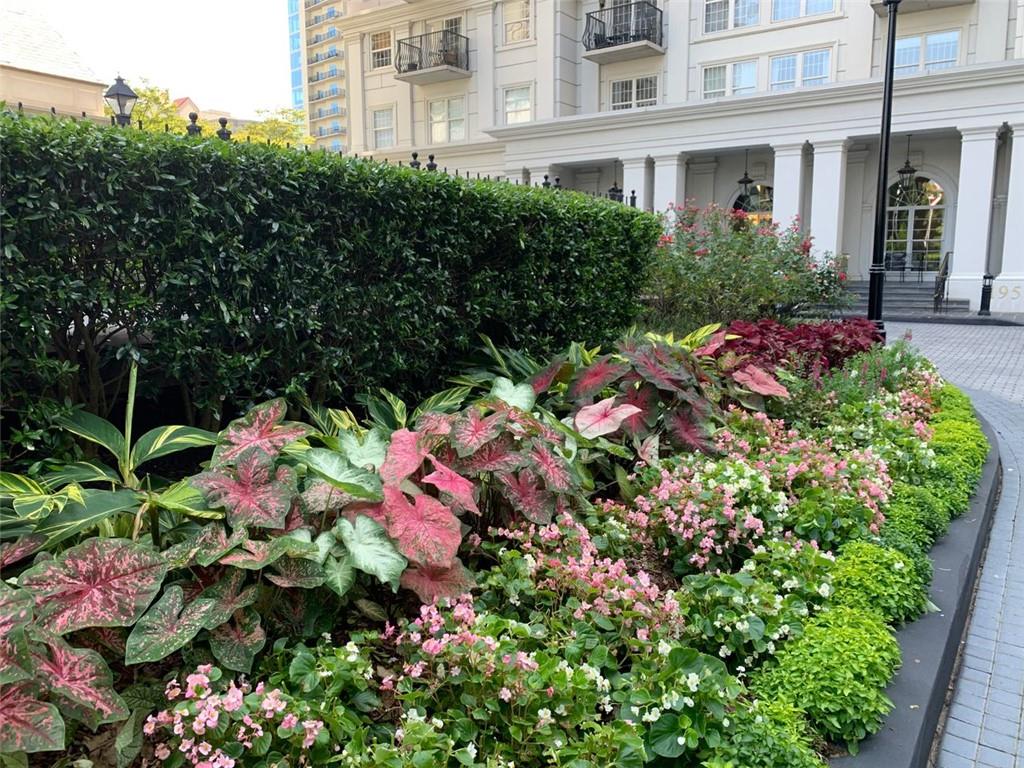 a bunch of flowers are in front of a building