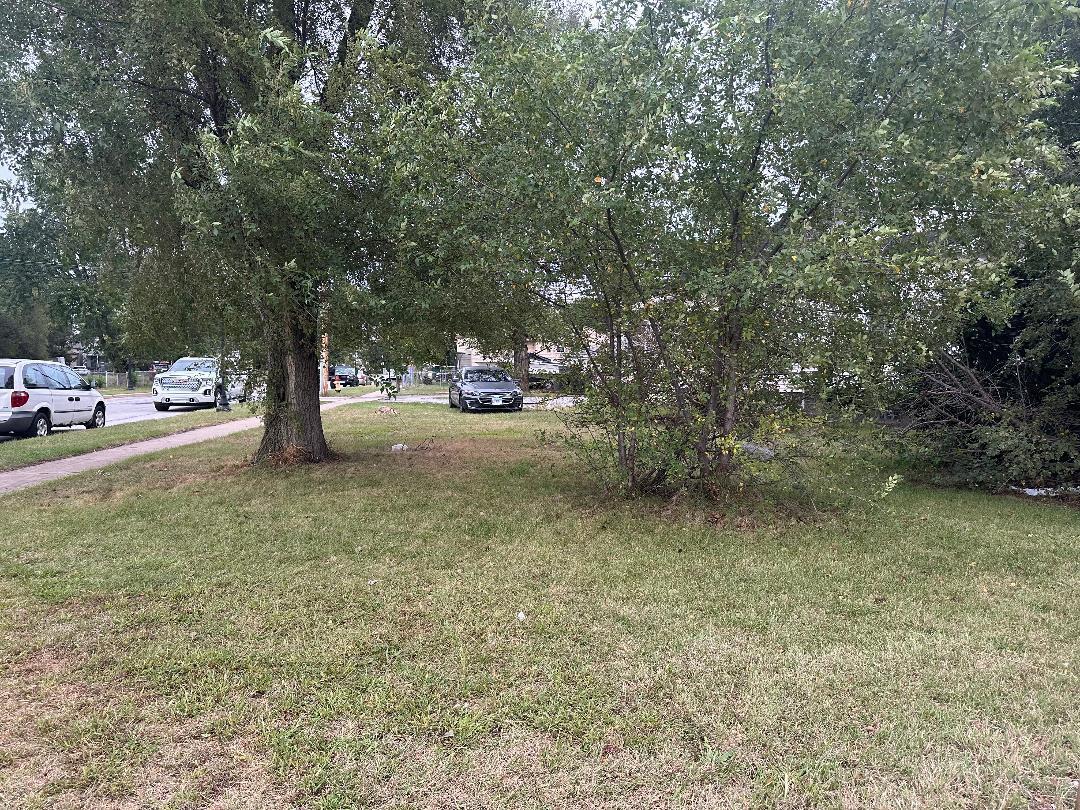 a view of a yard with a tree