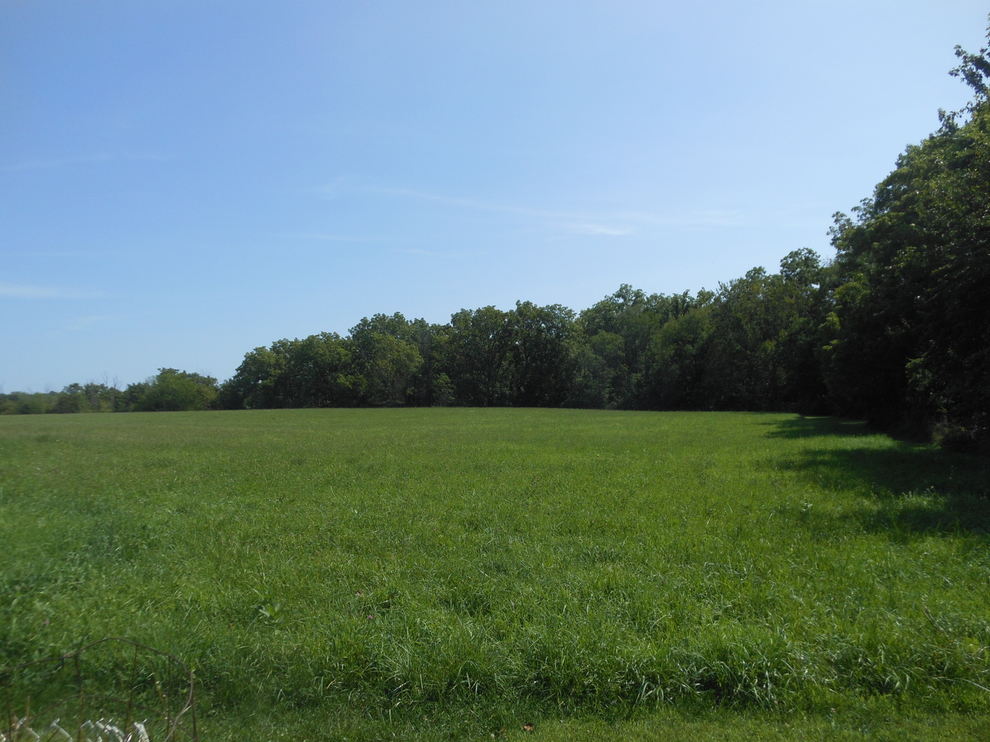 a view of a grassy field and trees