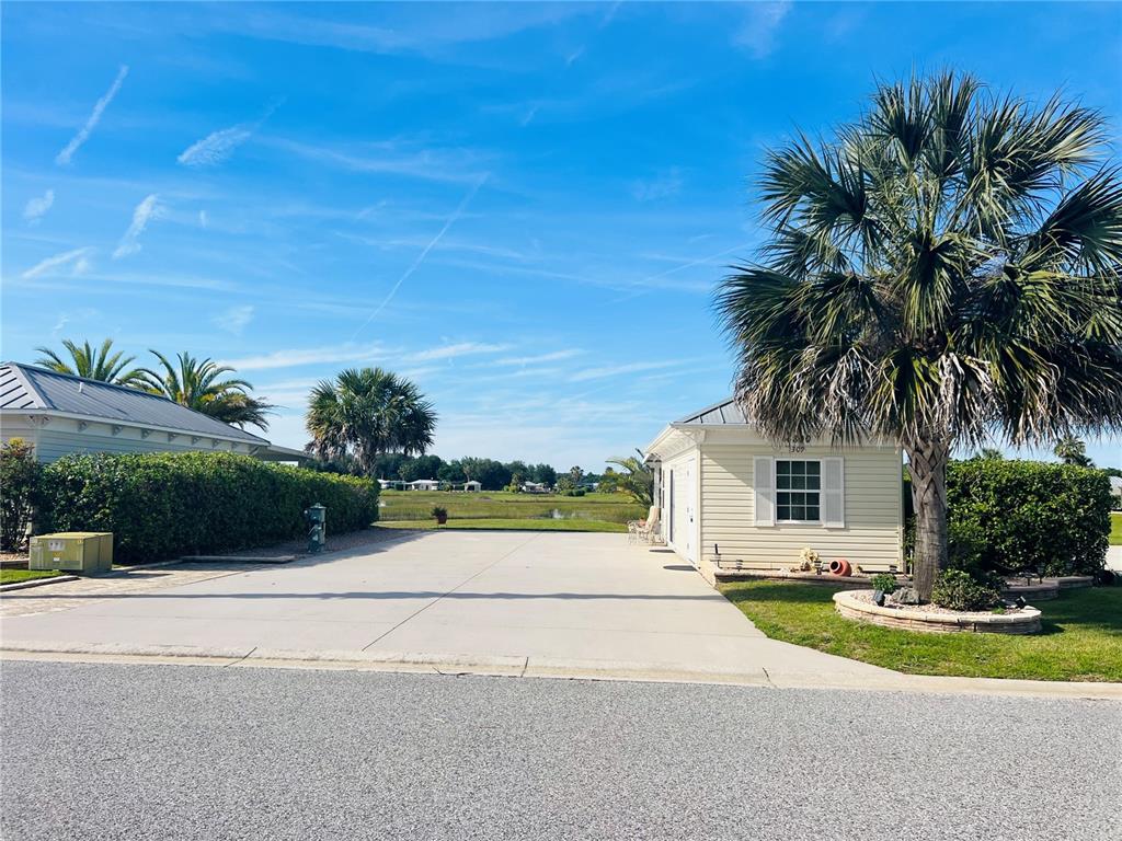 a view of house with outdoor space and palm tree