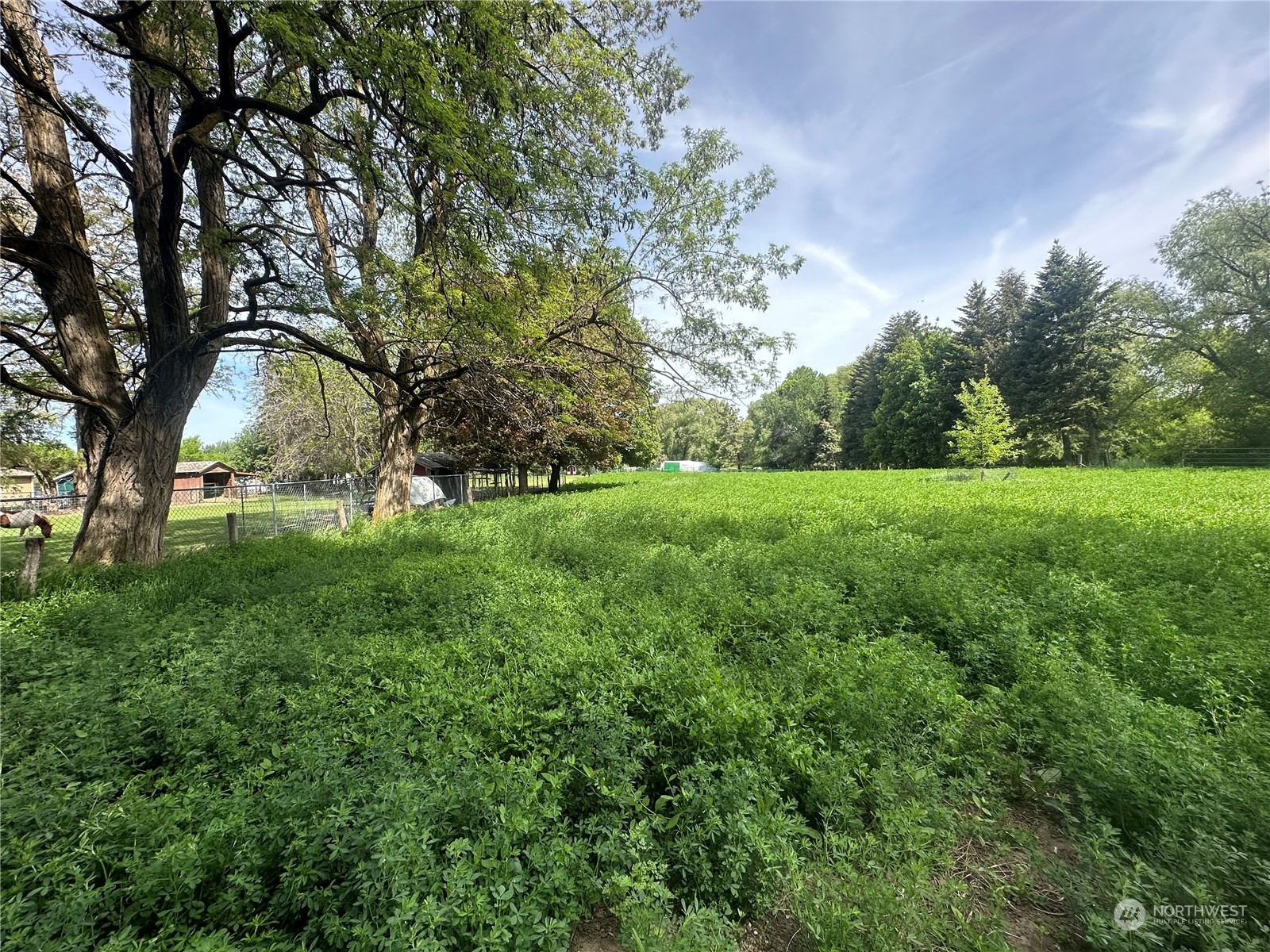 a view of a field with trees in front of it