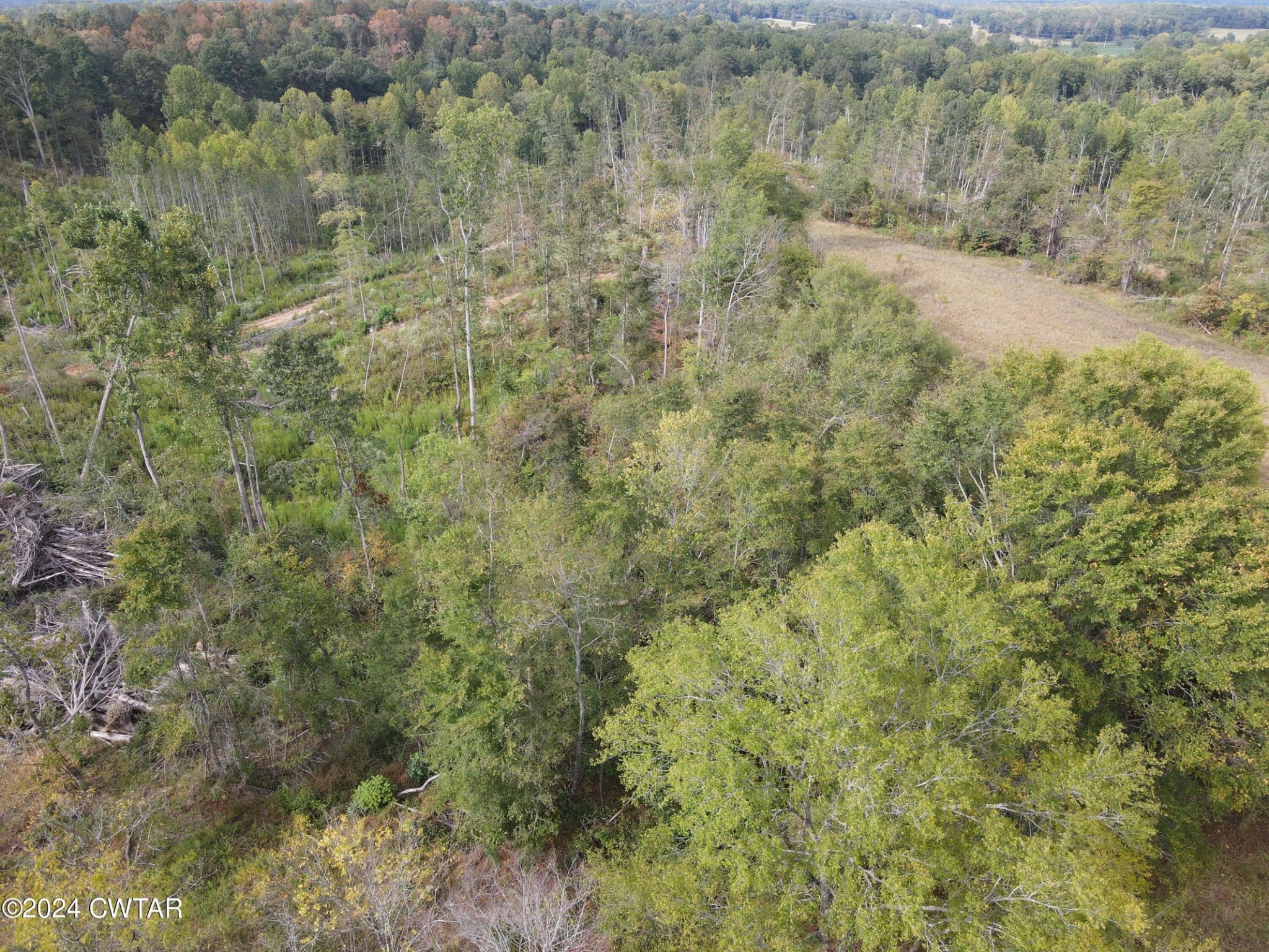 a view of a covered with trees