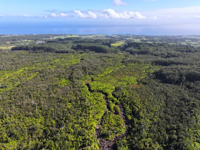 $9,990,000 | 29-820 Chin Chuck Road, Unit LOT6 | Hakalau