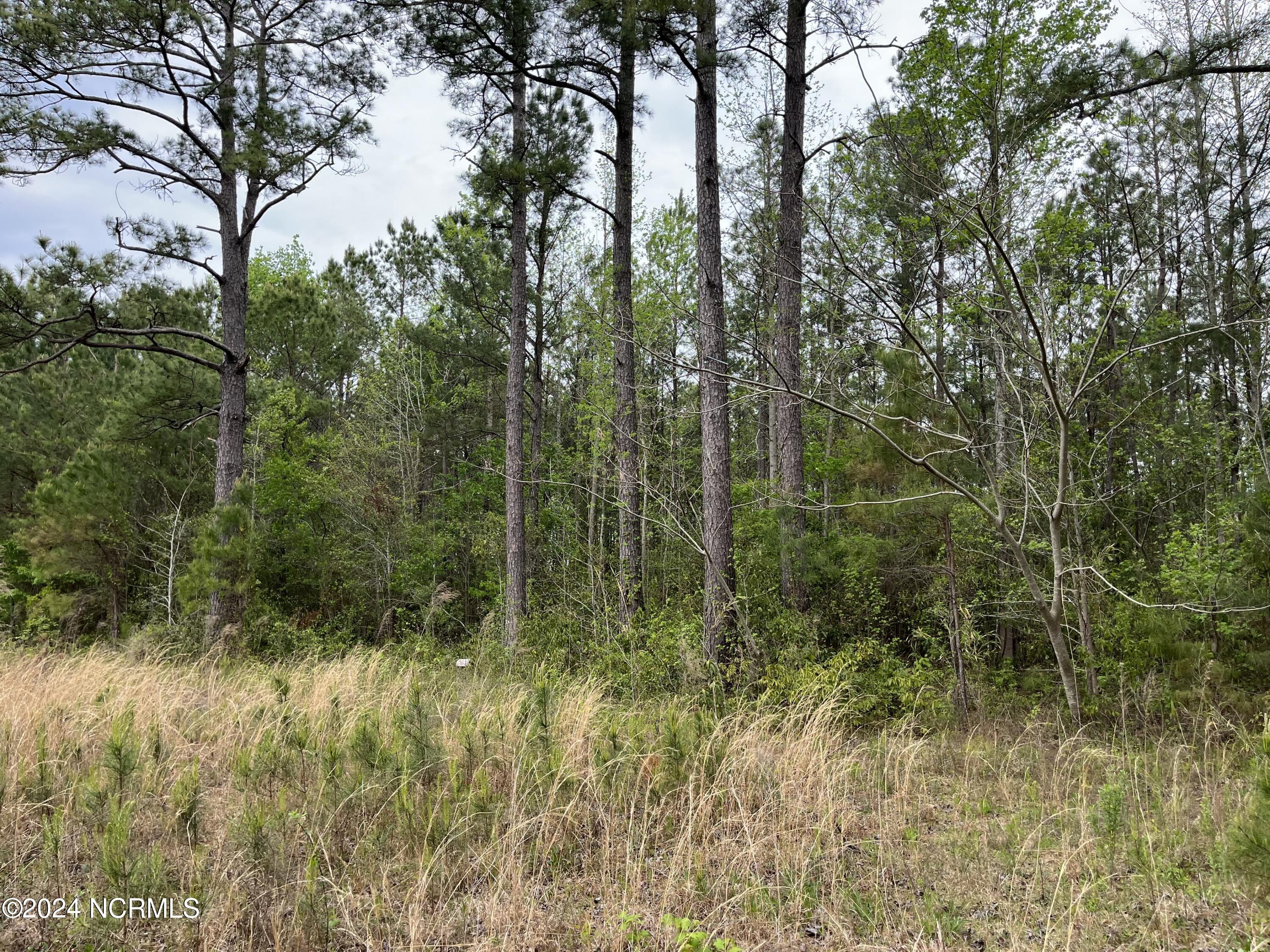 Wooded Acreage