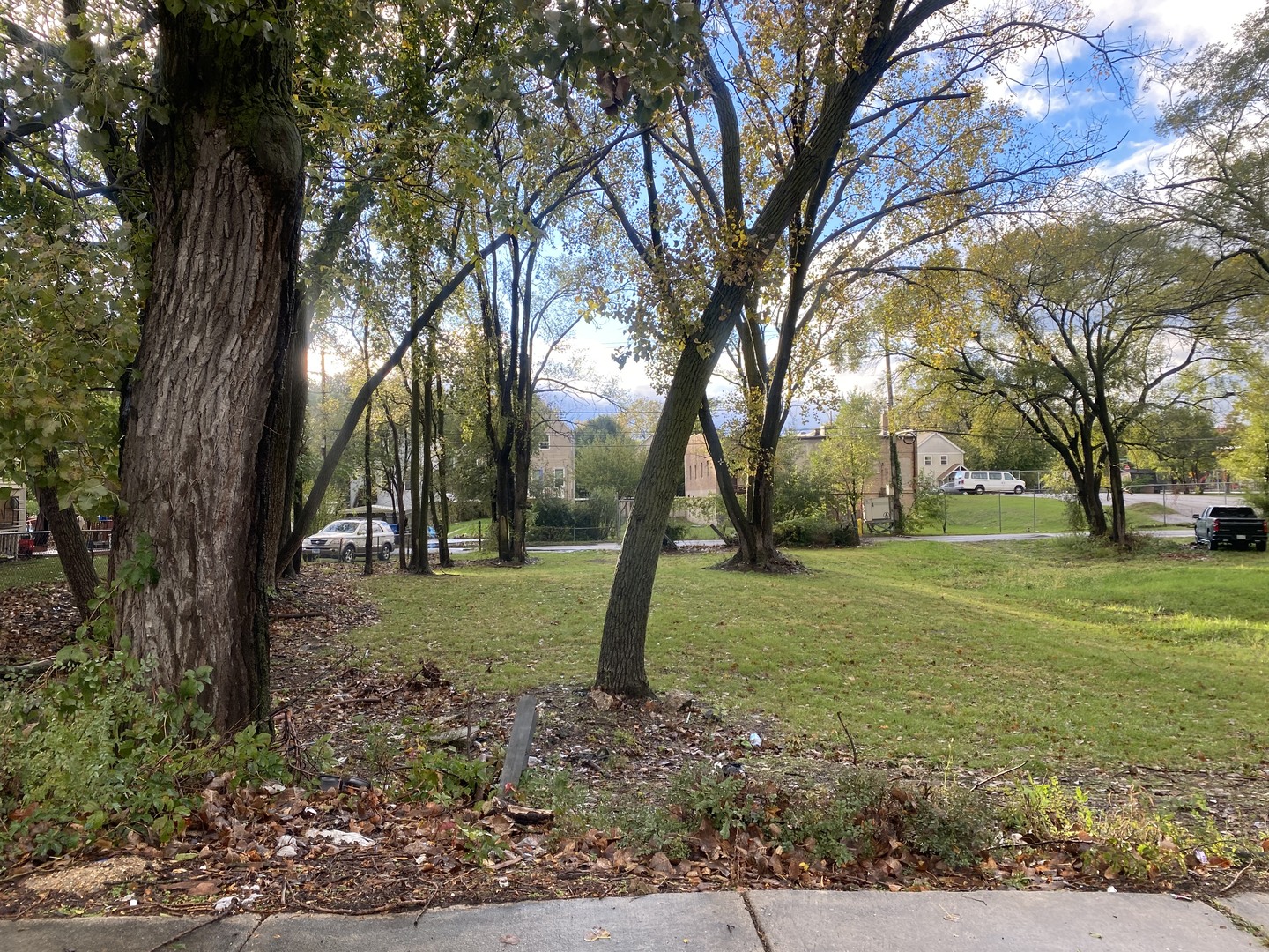 a view of outdoor space with trees