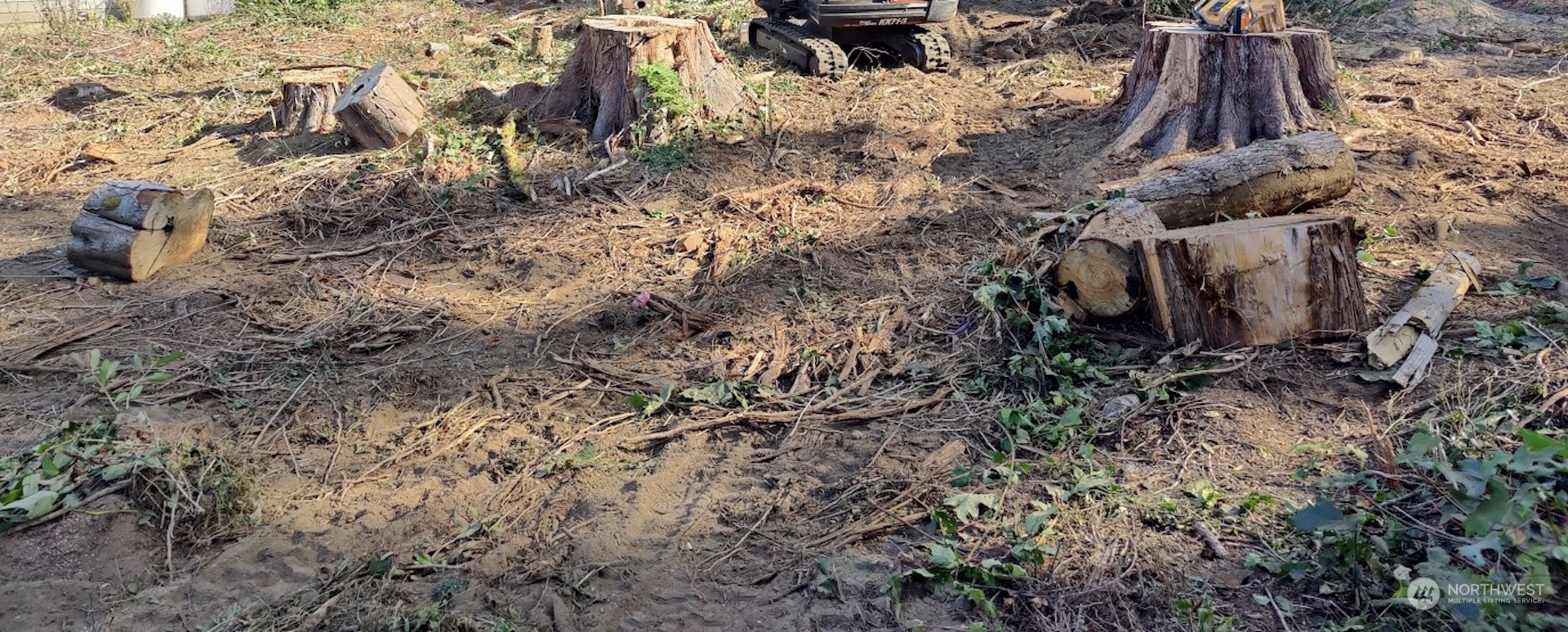 a view of a backyard of the house