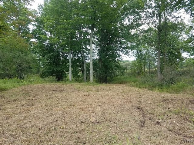 $50,000 | 122 South Of Otter Pond Road | Alexandria