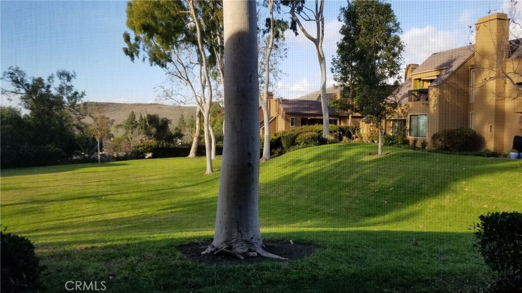 a view of a park with large trees