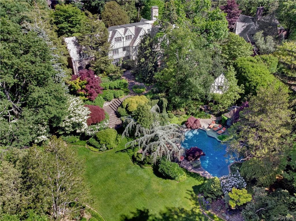 a view of a garden with plants