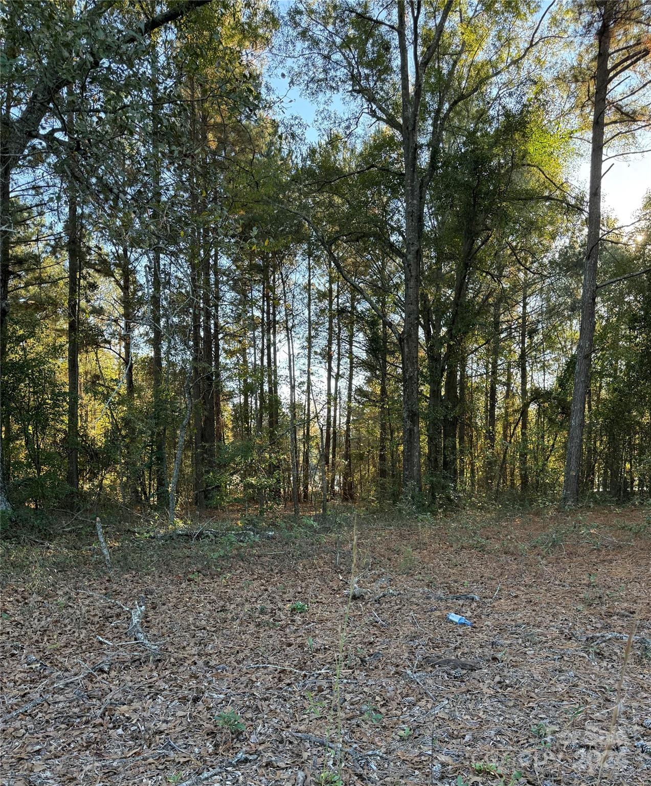 a view of outdoor space with trees