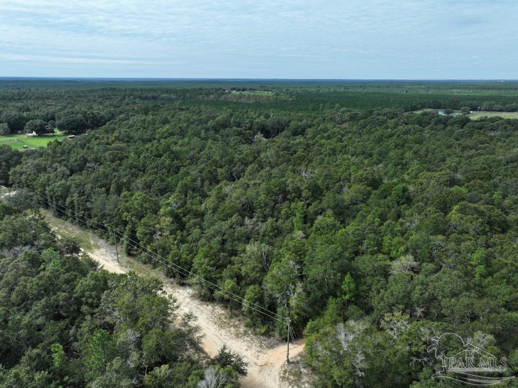 a view of a green field with lots of bushes