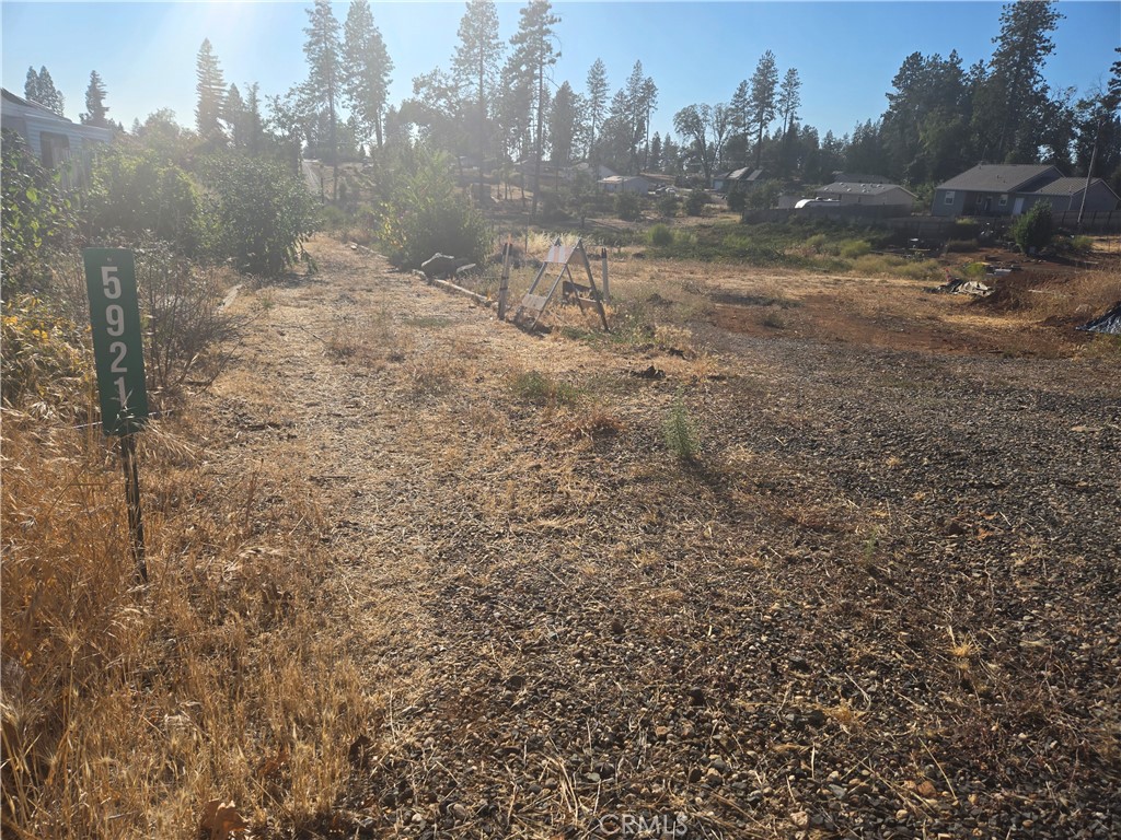 a view of a yard with trees in the background