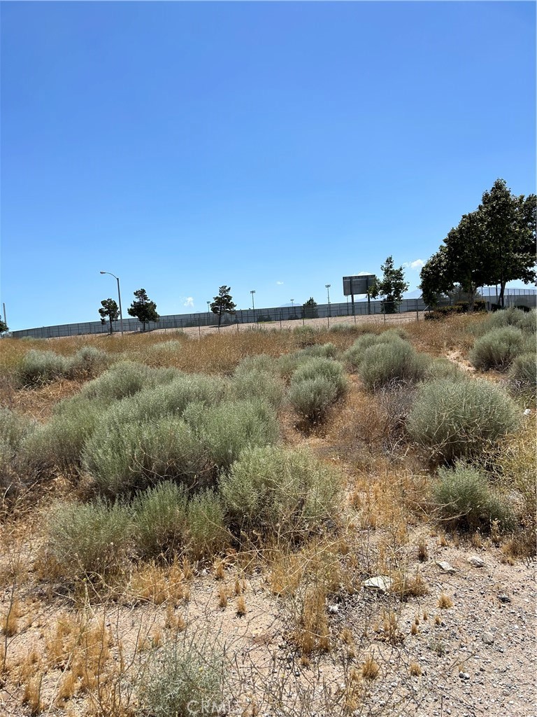 a view of a covered with trees in the background