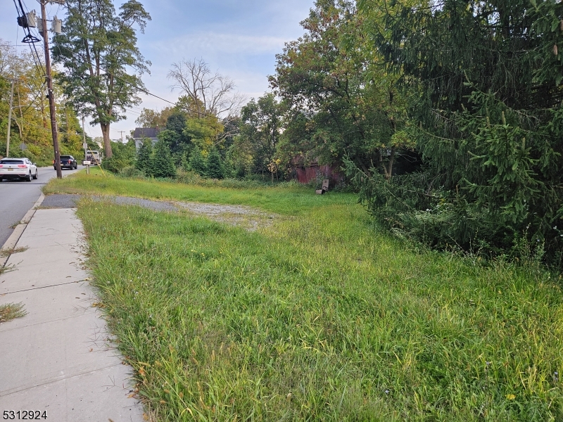 a view of a yard with plants and trees