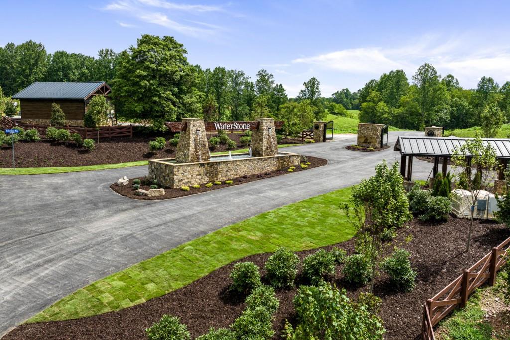 a view of a park with plants