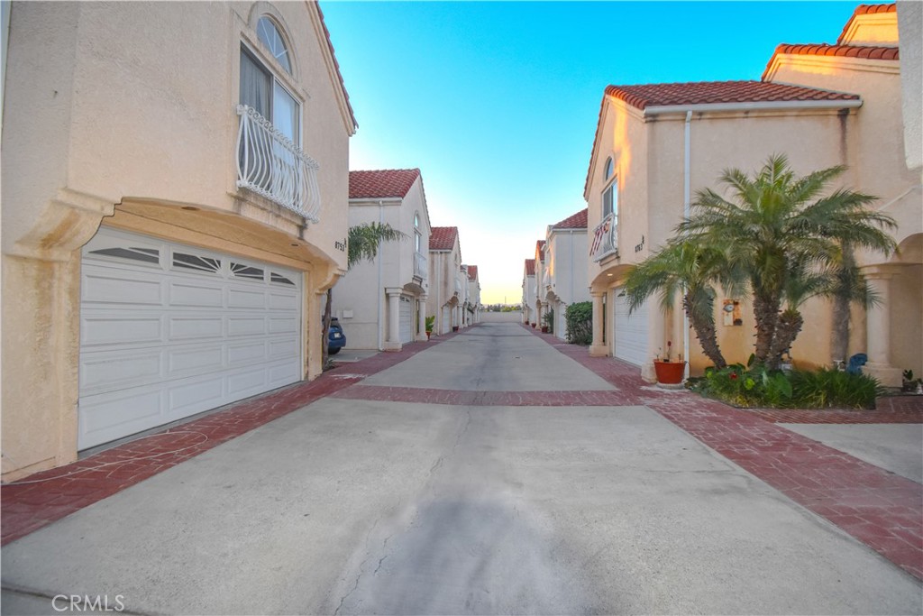 a view of a street with a palm trees