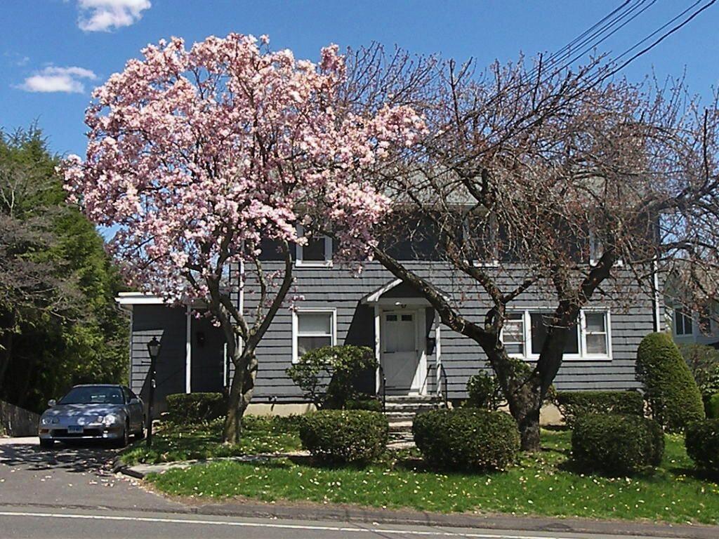 a front view of a house with trees and plants