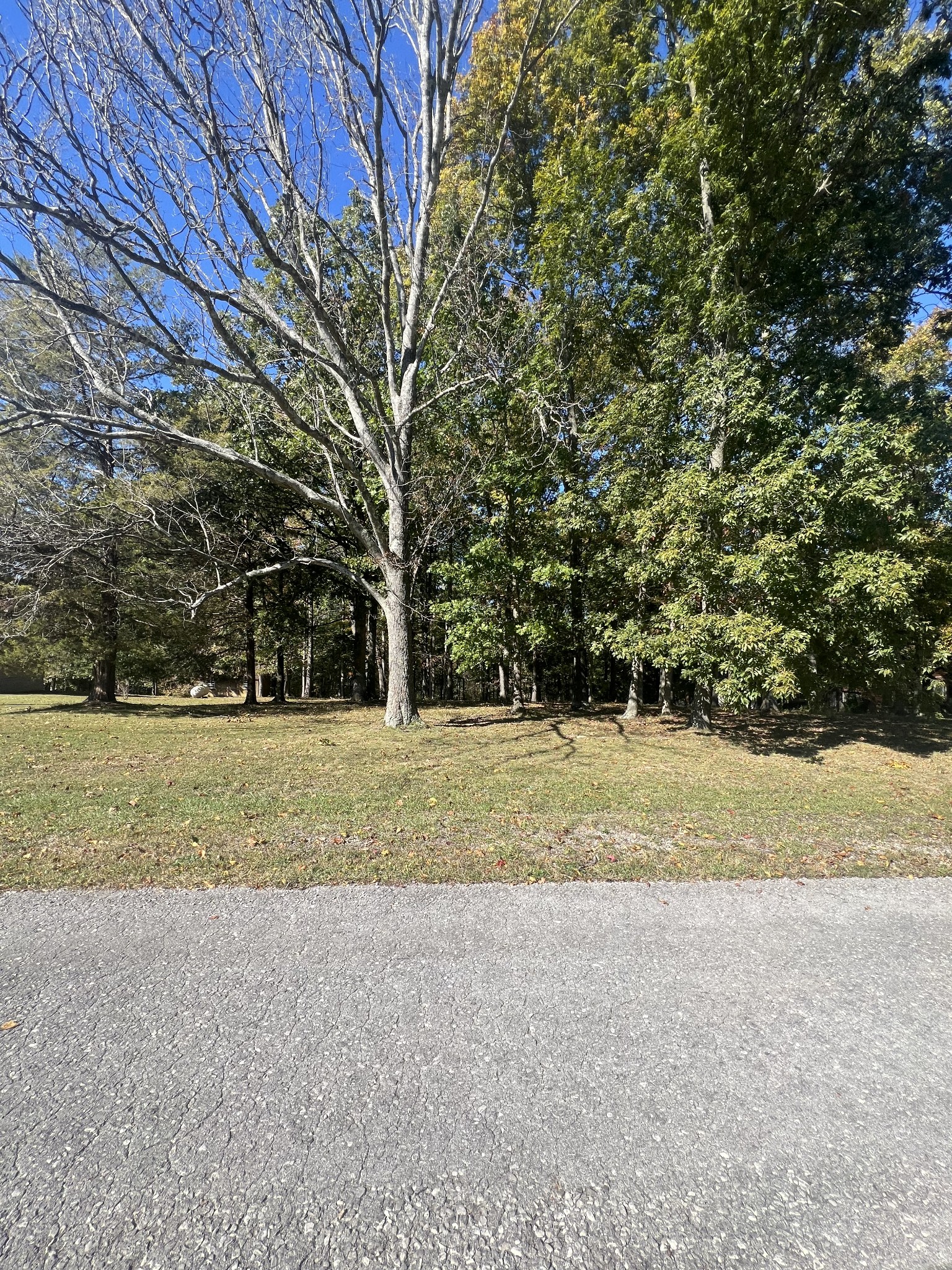 a view of outdoor space and yard