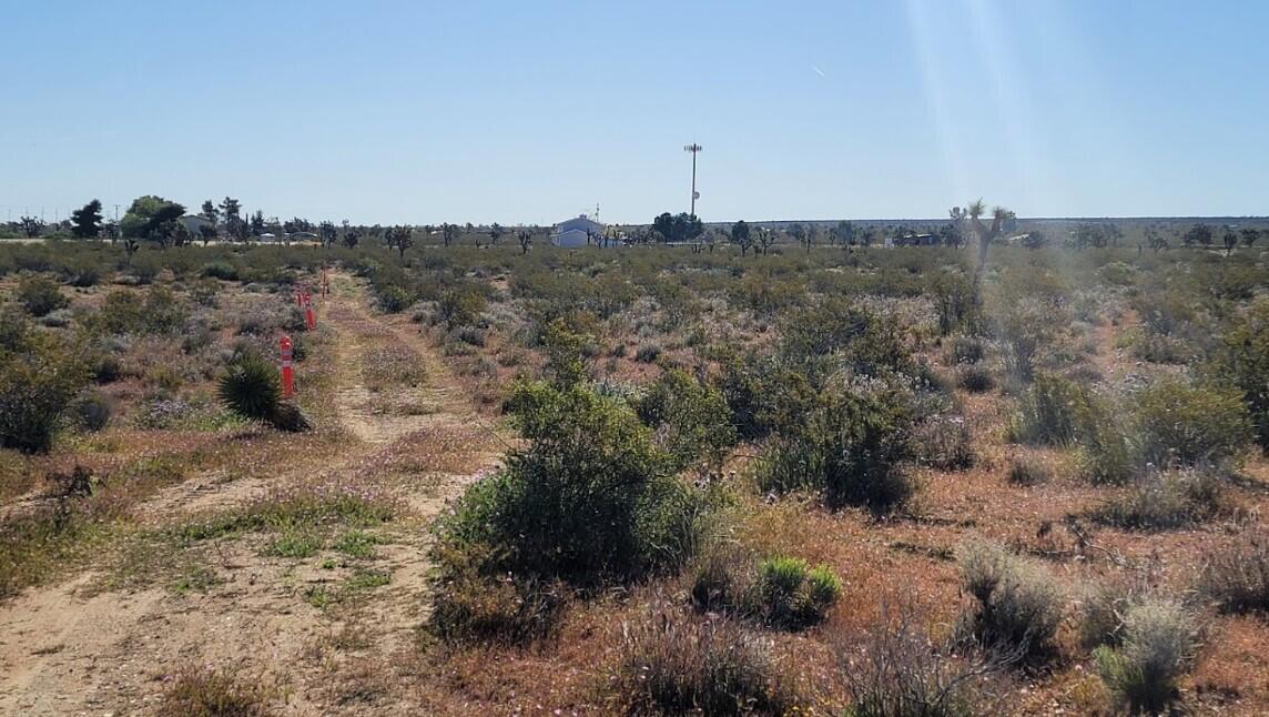 a view of a dry field with lots of trees in the background