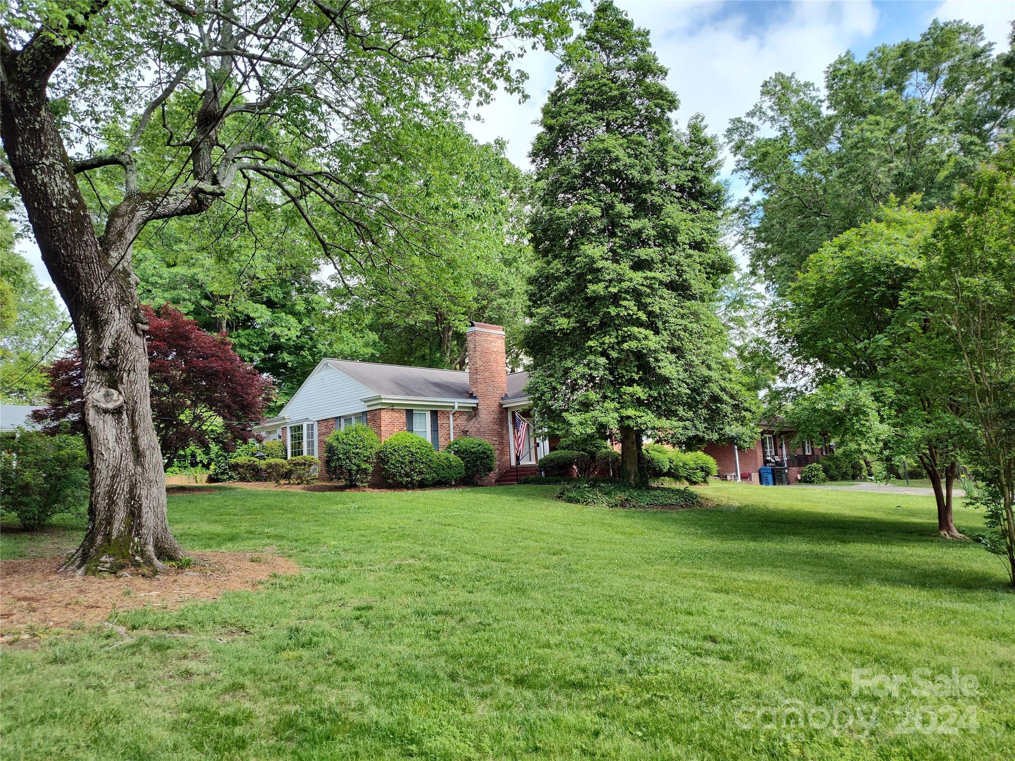 a view of a park with a tree in the background