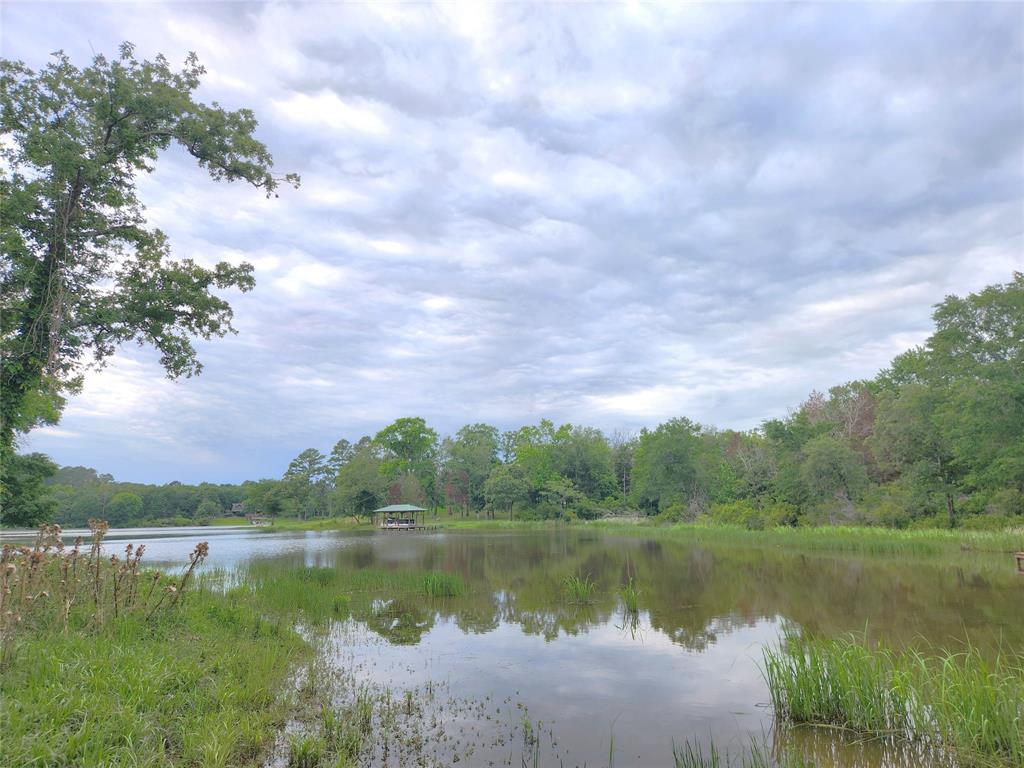 a view of a lake