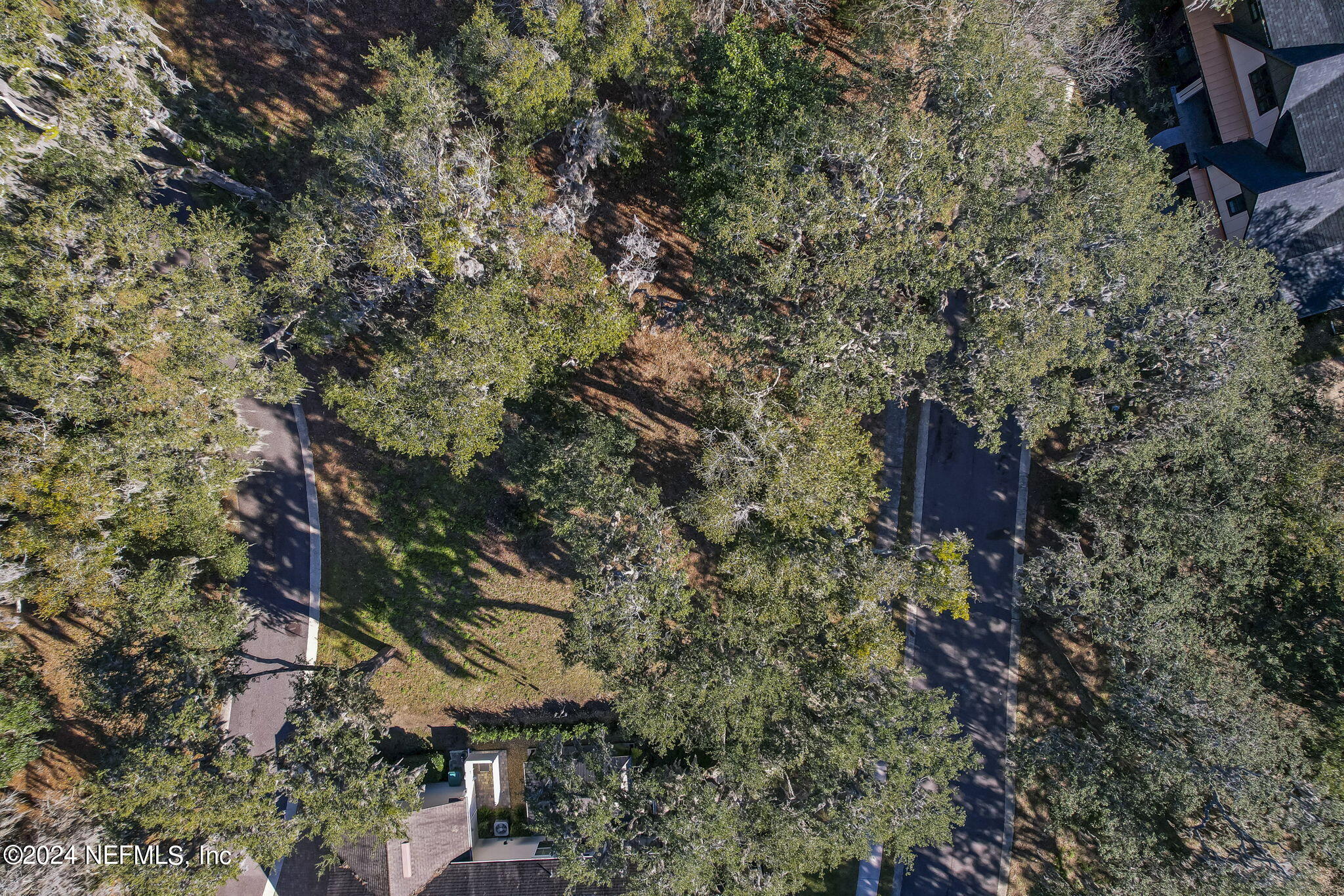 a view of a house with a tree