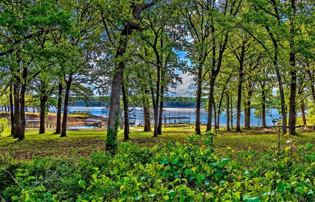 a view of park with trees